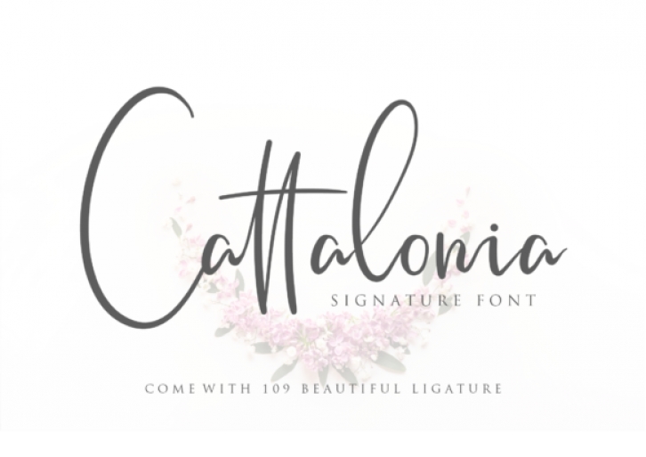 Cattalonia Font Download