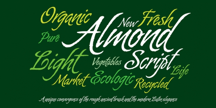 Almond Script Font Download