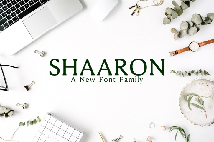 Shaaron Font Download