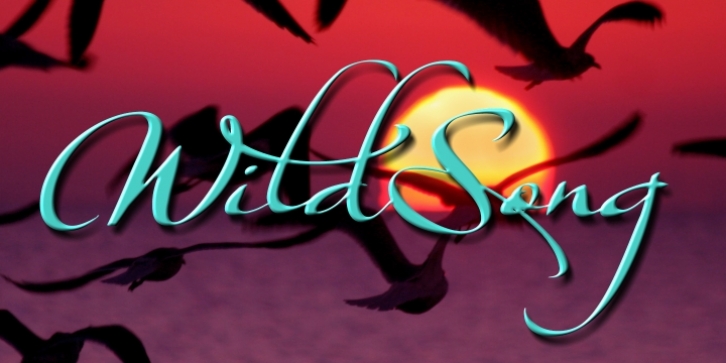 WildSong Font Download