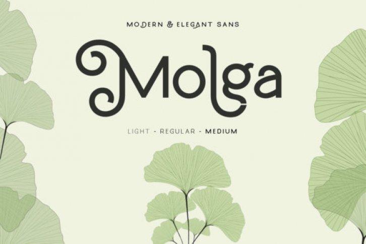 Molga Font Download