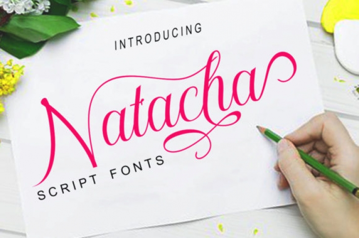 Natacha Font Download