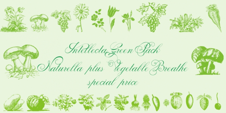 Vegetable Breath Font Download