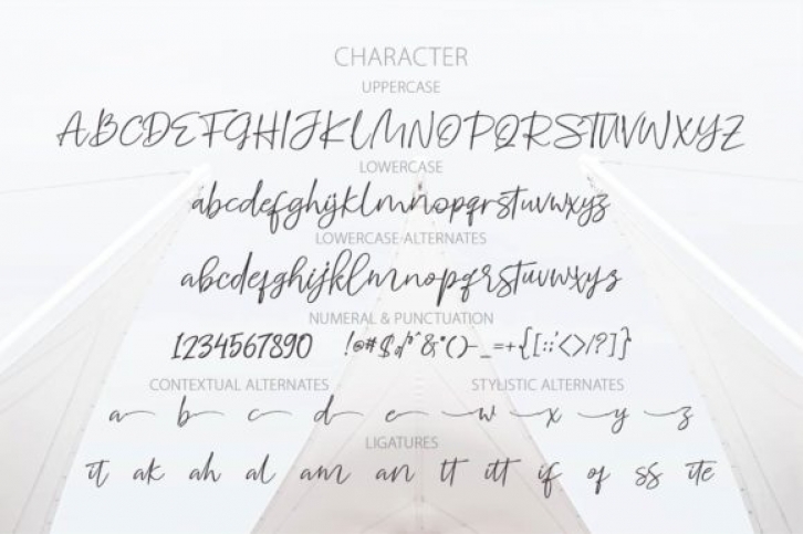 Whitecase Font Download