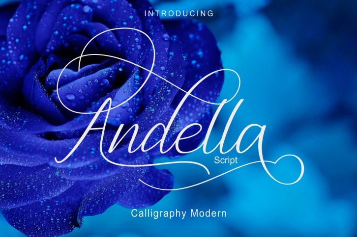 Andella Script Font Download