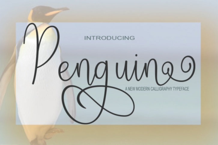 Penguin Font Download