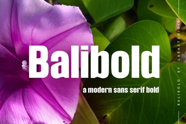 Balibold Font Download