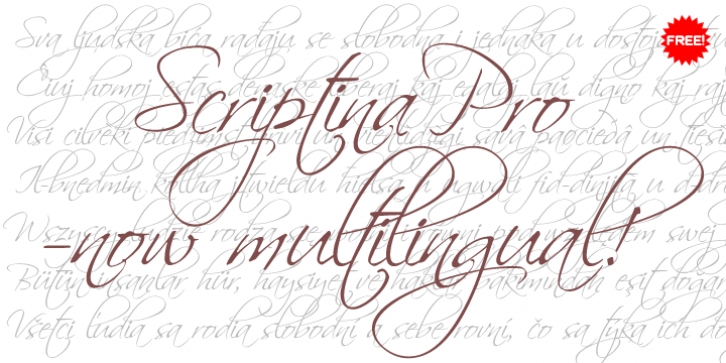 Scriptina Pro Font Download