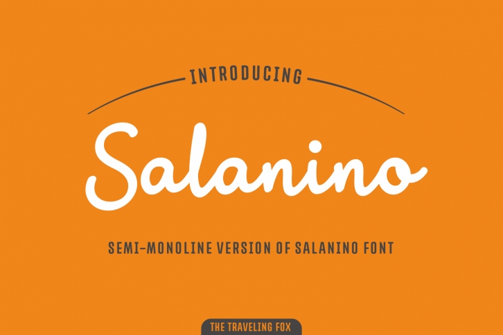 Salanino Mono Font Download