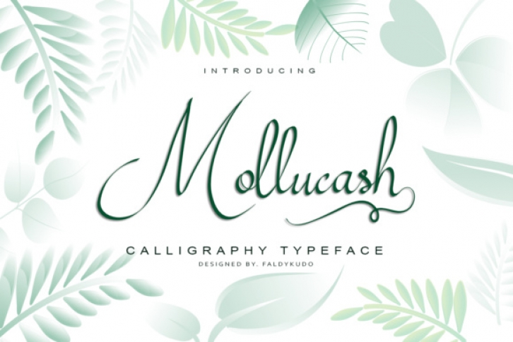 Mollucash Font Download