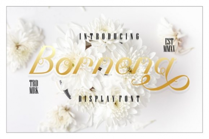 Bornena Font Download