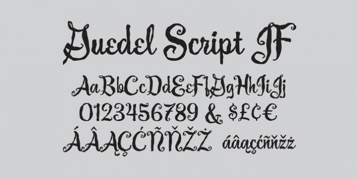 Guedel Script JF Font Download