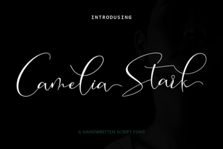 Camelia Stark Font Download