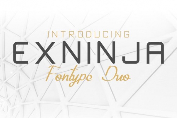 Exninja Font Download