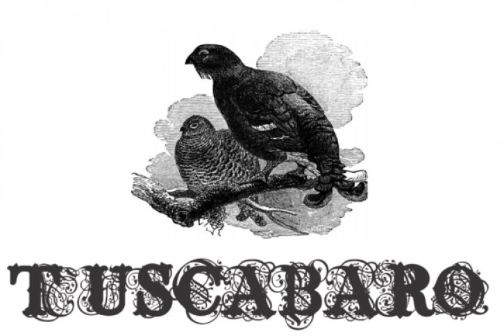 Tuscabaro Font Download