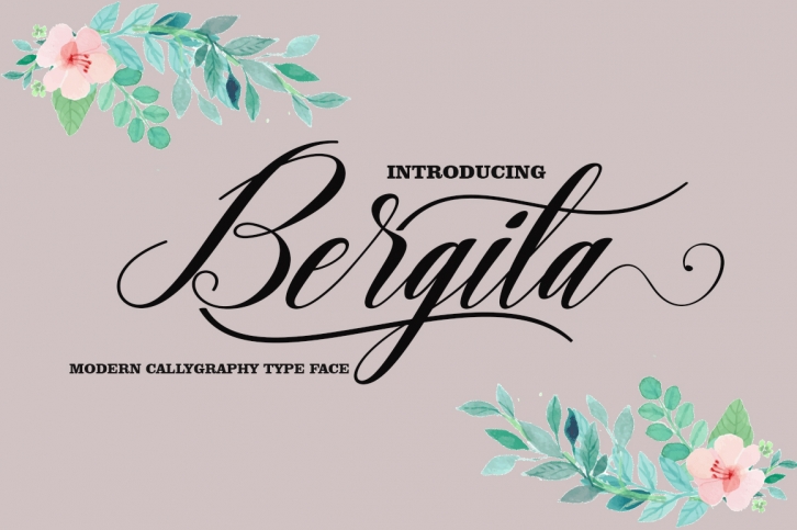 Bergita Font Download