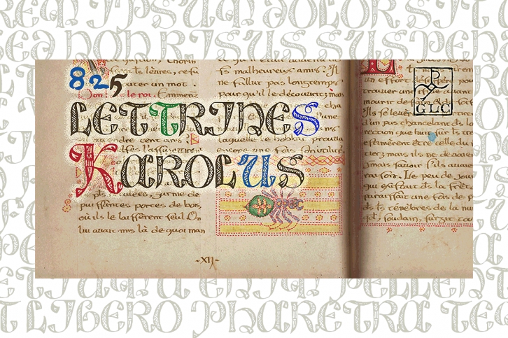 825 Lettrines Karolus Font Download