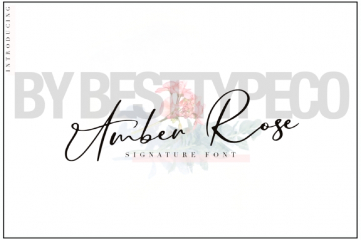 Amber Rose Font Download