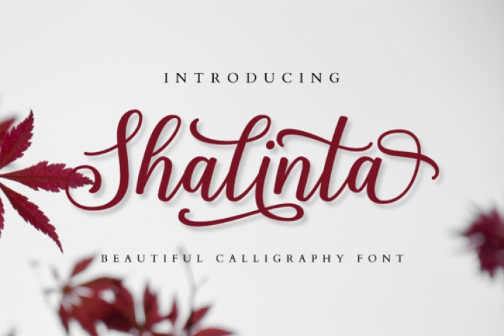 Shalinta Font Download