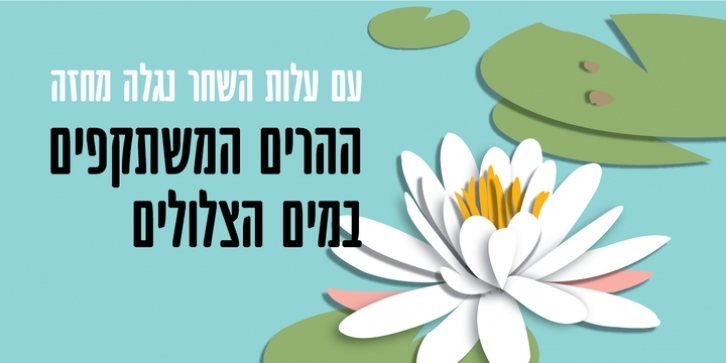 Mifrasit MF Font Download