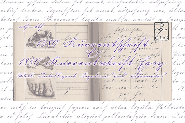 1880 Kurrentschrift Font Download