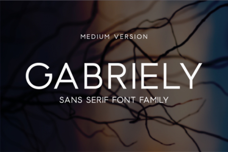 Gabriely Medium Font Download
