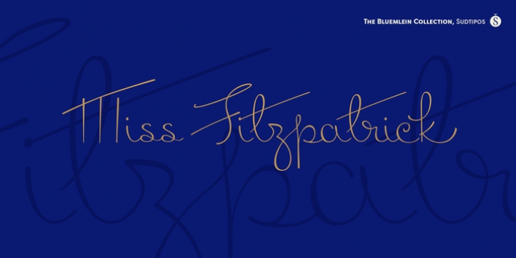 Miss Fitzpatrick Pro Font Download