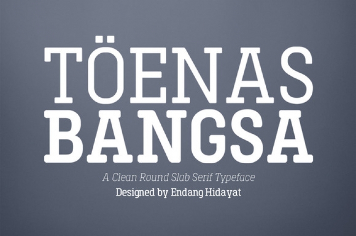 Toenas Bangsa Family - Light Font Download
