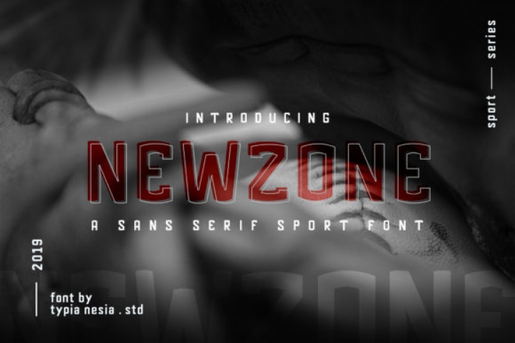 Newzone Font Download
