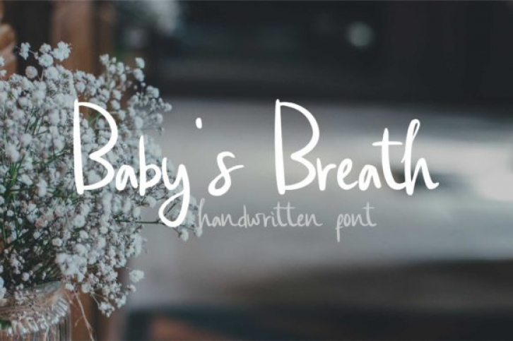 Baby's Breath Font Download