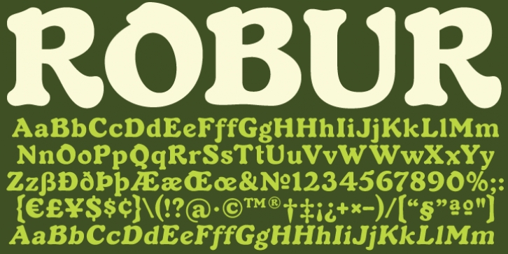 Robur Font Download