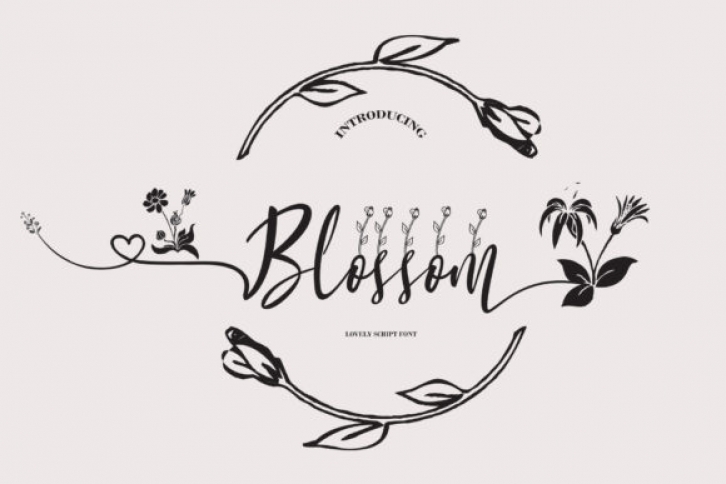 Blossom Font Download