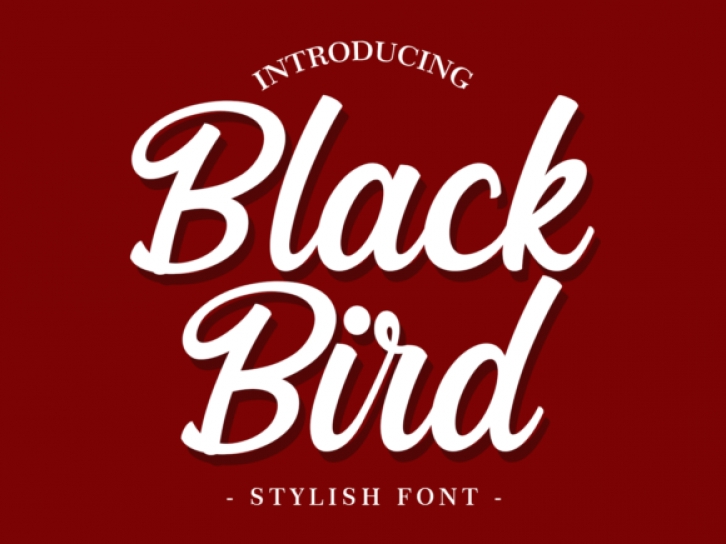 Black Bird Font Download