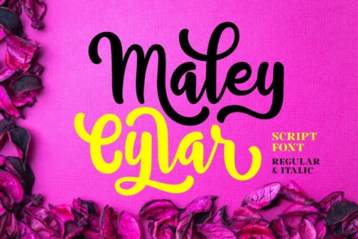 Maley Cylar Font Download