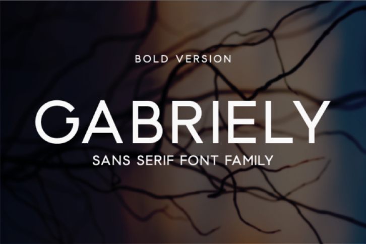 Gabriely Bold Font Download