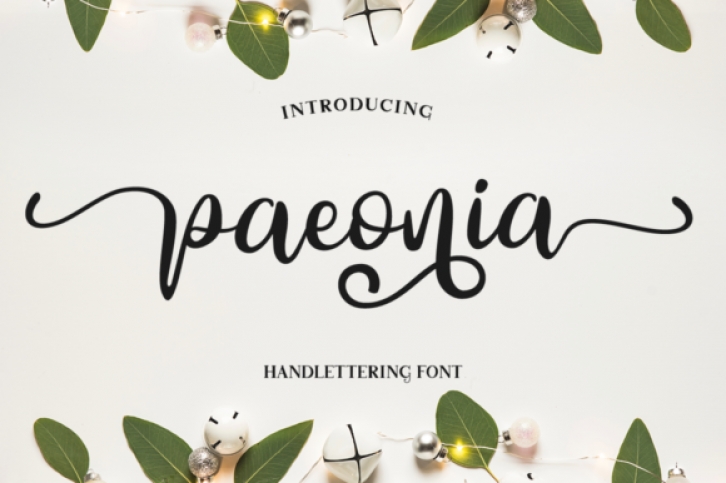 Paeonia Font Download