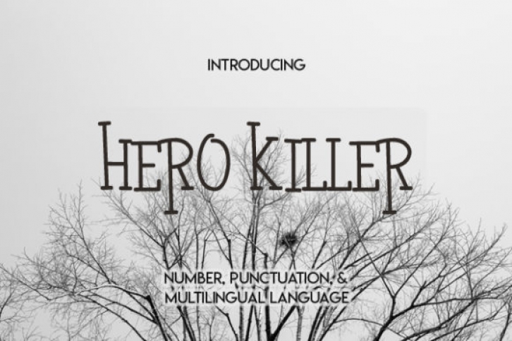 Hero Killer Font Download