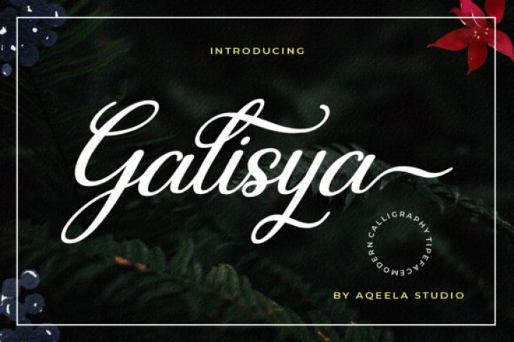 Galisya Font Download