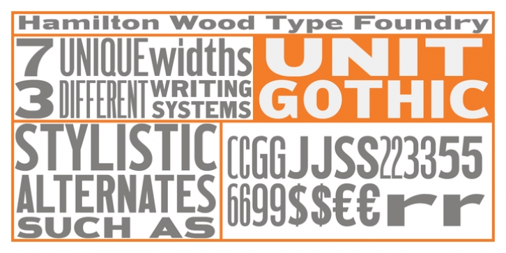 HWT Unit Gothic Font Download