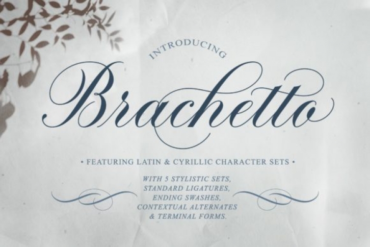 Brachetto Font Download