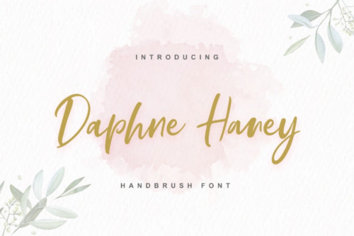 Daphne Haney Font Download