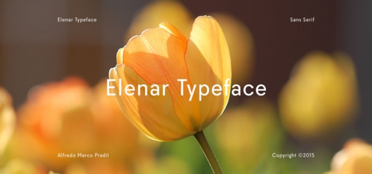 Elenar Typeface Family Font Download