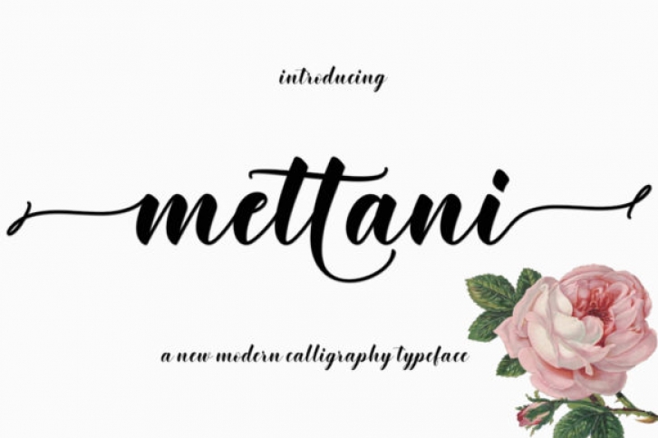 Mettani Font Download