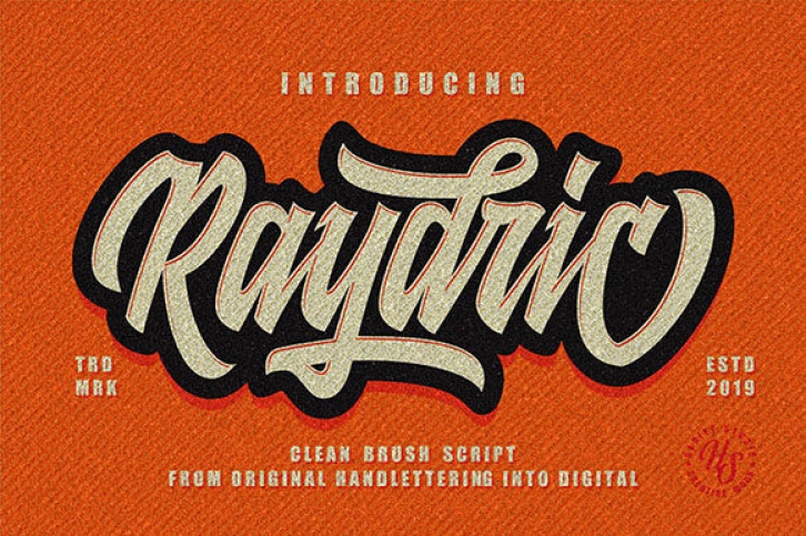Raydric Script + Shadow Outline Font Download