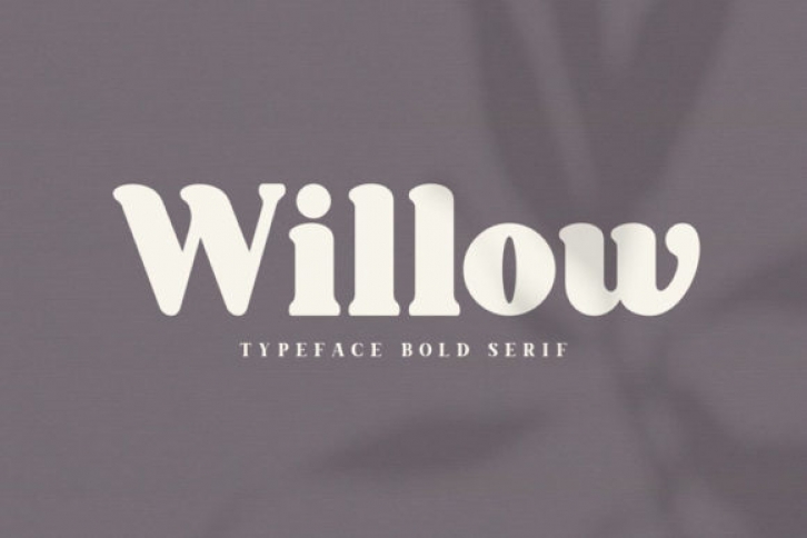 Willow Font Download