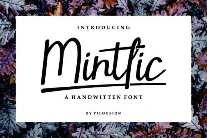 Mintlic Font Download