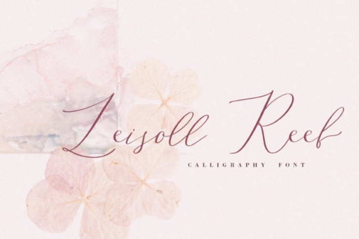 Leisoll Reef Font Download