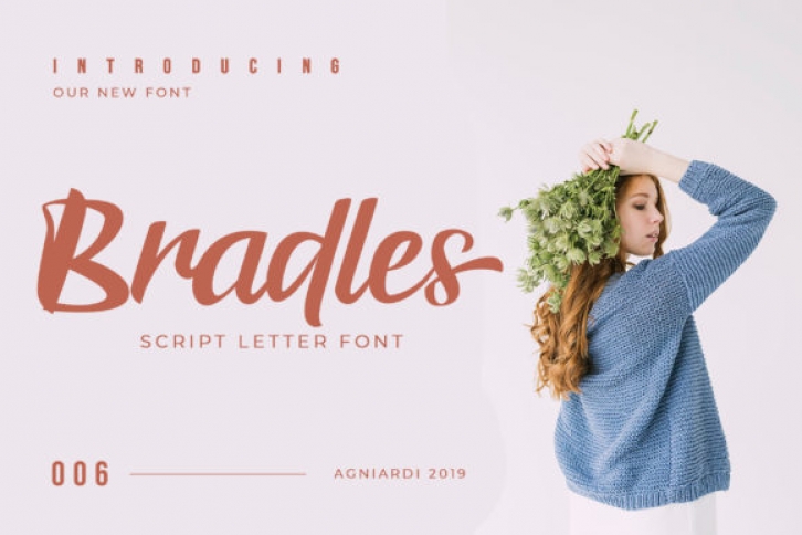 Bradles Font Download