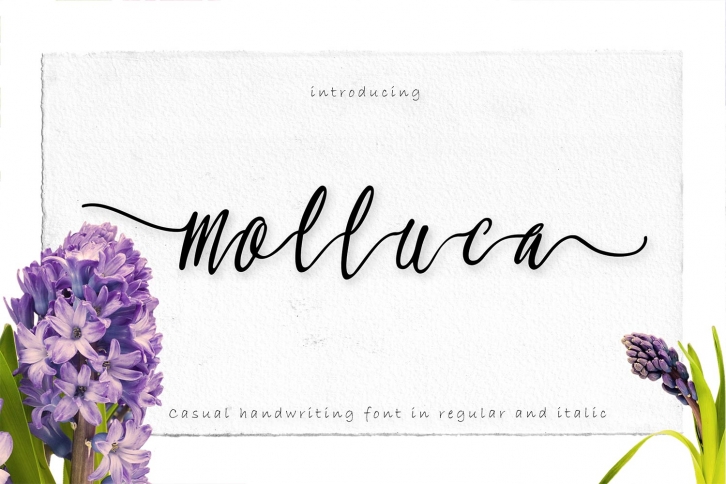 Molluca Font Download