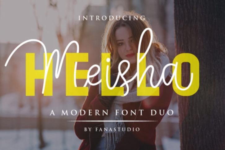 Meisha Duo Font Download